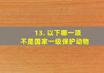 13. 以下哪一项不是国家一级保护动物